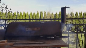 A short clip of two trouts being barbecued using tradition charcoal grill