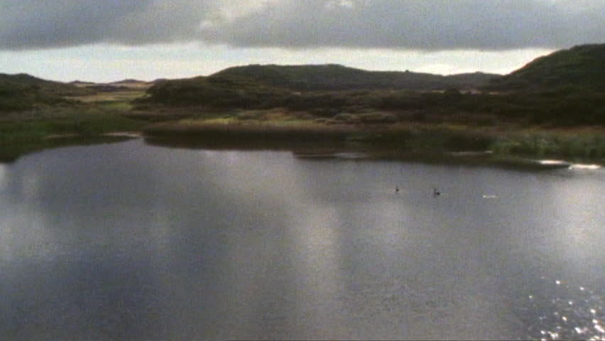 Aerial view of lake and forest