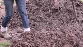 turning compost in garden with people stock video stock footage