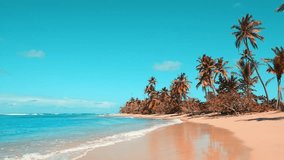 An easy walk along the palm-lined wild Cuban beach. Clear ocean waves on yellow sand. Summer tropical day. Heaven on earth. The concept of travel and vacation on the sea coast. The video is tinted.