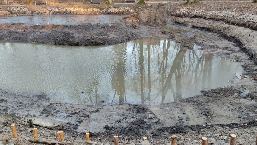 Drained pond in the park in spring or autumn
