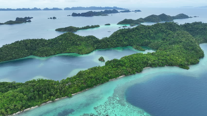 Scenic islands, surrounded by coral reef, rise from Raja Ampat's tropical seascape. This part of Indonesia is known as the heart of the Coral Triangle due to the marine biodiversity found there.