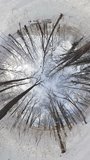 This video provides a 360-degree view of a snowy forest. The video was taken from a low angle, and the trees appear to be towering over the viewer. The snow is thick on the ground and covers the trees
