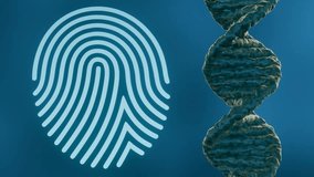 3d animation of glowing fingerprint and rotating DNA strand - Powered by Shutterstock - Get 15% off with code: PIKWIZARD15