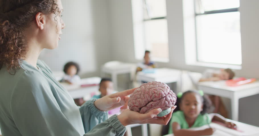 Video of happy caucasian female teacher holding brain model in class of diverse pupils. school education and teaching profession. Royalty-Free Stock Footage #3474498331