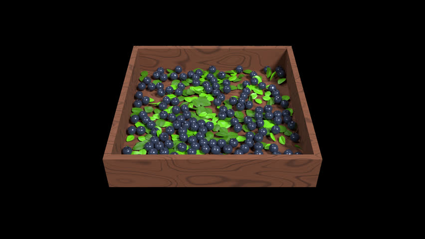 3D blueberry animation. Blueberry with leaves animation. Fruit and healthy food concept. Transparent background with alpha channel