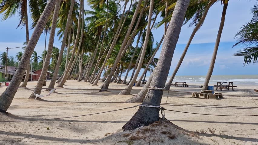 Pan up shot of coconut palm trees swaying against white sandy beach in a tropical country. Royalty-Free Stock Footage #3474557897