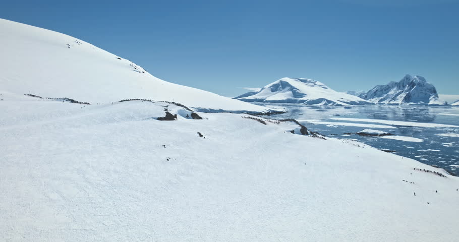 Antarctica majestic winter landscape aerial view. Fly over snow-covered hill penguin colony, frozen ice ocean and towering mountain range in background. Travel to South Pole. Explore polar wildlife