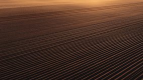 Sunrise over a plowed field. 4K aerial video with a fresh plowed agricultural land for spring planting of vegetables. Farming industry video.