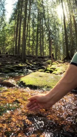 Man taking clear drinking water from a stream in forest. Close-up hand. Nuuksio National Park, Finland. Sunny summer day in forest. Beautiful spring water running in rocks. With the sounds of nature