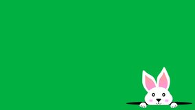 Beautiful bunny looking from black hole in green screen with cute smile and swinging ears. cute animation of easter holiday. - Powered by Shutterstock - Get 15% off with code: PIKWIZARD15