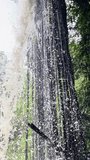 vertical portrait social media video bamboo A waterfall in chiang mai national royal park nature reserve jungle, thailand. sunny day for calming 