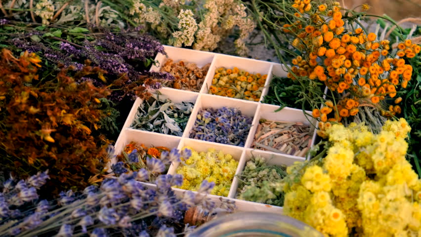 Dried flowers and herbs tea and alternative medicine. Selective focus.