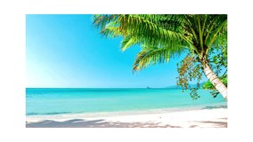 Beach Video 4K,Beach Background 4K,Beach view 4K,Beach Video 4K Download,4K Beach escapes
 
Sea, Ocean, Wave,Blue, beach, seaside 
beautiful,coconut tree, islands, landscape, nature,