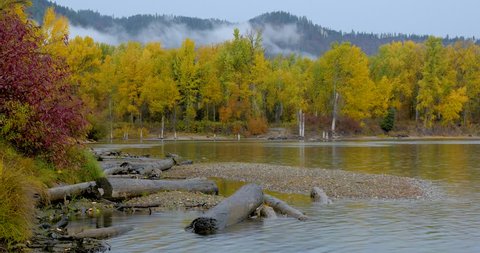 River bank in the mist, autumn forest on the riverside, beautiful trees in the mountains. Leavenworth, Central cascades, WA, USA. Landscape video. Nature video. 4K, 3840*2160, high bit rate, UHD