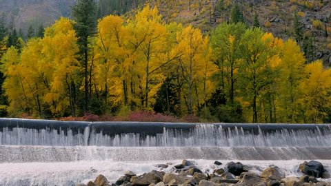 Amazing colors of the fall. Autumn forest on the riverside. Wenatchee River. Leavenworth, Central cascades, WA, USA. Landscape video. Nature video. 4K, 3840*2160, high bit rate, UHD