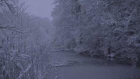Beautiful nature and landscape video of snowy blue dusk evening in Katrineholm Sweden Scandinavia. Nice details,trees and forest with snow on branches. Calm, peaceful outdoors video of christmas time.