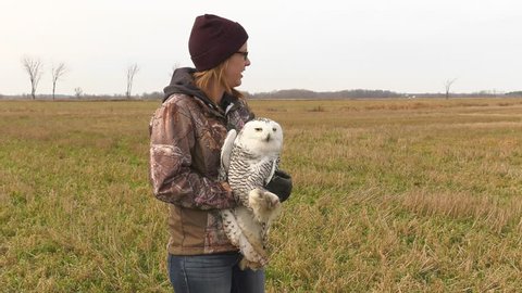 snowy owl conservationist releases the bird into the air watch it fly away 4k slow motion