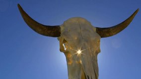 Sun bursts through cracks in animal, cow skull, blue sky background. 1080p - Powered by Shutterstock - Get 15% off with code: PIKWIZARD15