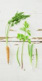 Vertical video of fresh carrot, bean, parsley, celeriac and asparagus on white rustic background. fresh and organic vegetable produce.