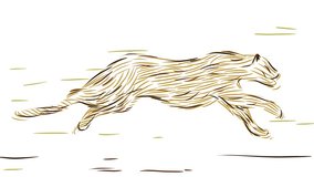 Cheetah running through draw cartoon animation. Dynamic joyful colourful video animal.