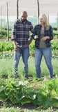 Vertical video of diverse male and female organic farmers talking in greenhouse. organic farm and fresh organically grown vegetables.