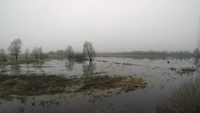 4K. Aerial video. Flooded agricultural farm land