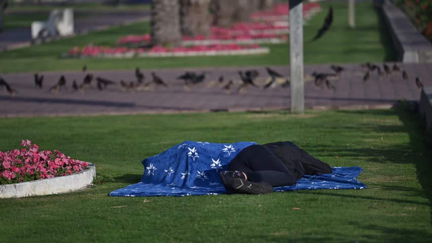 A homeless individual rests under the open sky in a park