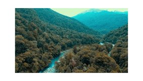 Nature Video 4K, Greenery Background 4K, Forest Video 4K Download, Beautiful Nature 4K Video 
beautiful, beauty, environment, flowing, forest, grass, green, landscape, motion, mountain, 