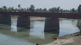 A view of the steel railway bridge over the Indus River TP Link Canal Muzaffargarh in Pakistan. Black buffaloes are bathing in the water along the bridge. Beautiful 4K Footage.