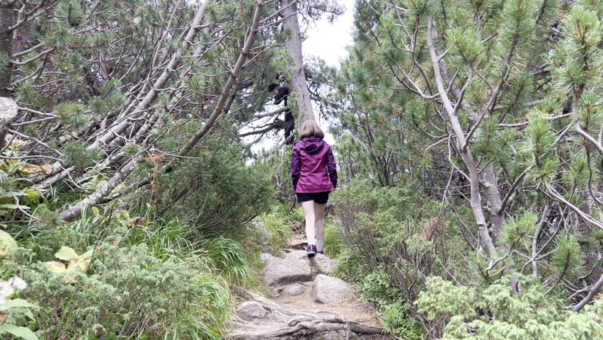 Moving shot following a girl on a path among junipers in the Retezat mountains of Romania.