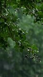Realistic rain drops with bounce effect looping background. Vertical video animation.