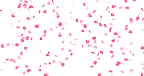 Hearts background, Valentine Day falling heart pink confetti on transparent backdrop. Saint Valentines greeting card motion design. Flower petal in shape of heart. Looped with Alpha for 4K