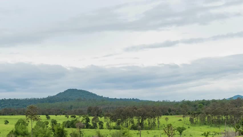 TL Grassland and Moving Clouds