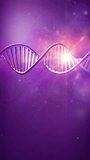 Rotating model of DNA strand on a purple background. 3D Illustration