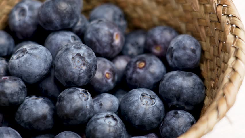 Serving fresh blueberry. Delicious organic blue bilberry close up. Natural antioxidants source Royalty-Free Stock Footage #3476281847