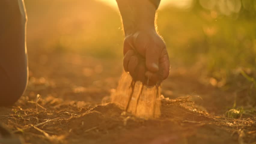slow motion Close up shot in 4K, highlighting the tactile experience of hands feeling the dry soil. Earthy Connection Detailed 4K footage depicting hands making contact with the dry ground,  Royalty-Free Stock Footage #3476322585