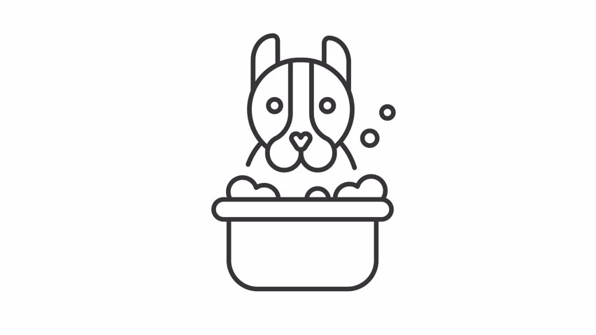 Dog bathing line animation. Animated puppy in bubble bath shakes head icon. Cute pet hygiene. Grooming. Black illustration on white background. HD video with alpha channel. Motion graphic