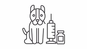 Pet vaccination line animation. Animated dog and medical syringe icon. Vet clinic service. Pet healthcare. Black illustration on white background. HD video with alpha channel. Motion graphic