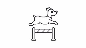 Pet training line animation. Animated jumping dog icon. Obedience training. Dog leap. Pet exercise. Black illustration on white background. HD video with alpha channel. Motion graphic