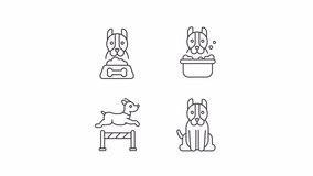 Living with dog line animations. Animated dogs icons. Pet care routine. Feeding and bathing dog. Pet ownership. Black illustrations on white background. HD video with alpha channel. Motion graphic