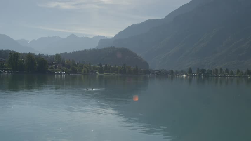 Three Ducks Playing Around In Perfect View of Scenic Harbor | Rural European Mountainside with Great Lake