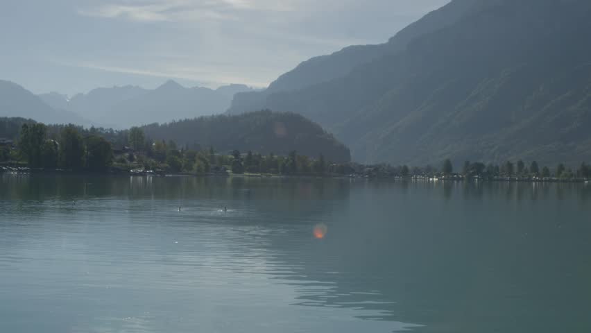 Two Ducks Washing Themselves In Perfect View of Scenic Harbor | Rural European Mountainside with Great Lake