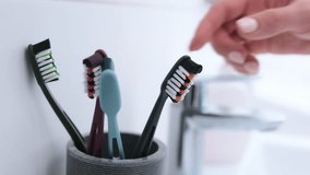 Woman'S Hand Picks One Of 4 Toothbrushes In Bright Bathroom - Powered by Shutterstock - Get 15% off with code: PIKWIZARD15