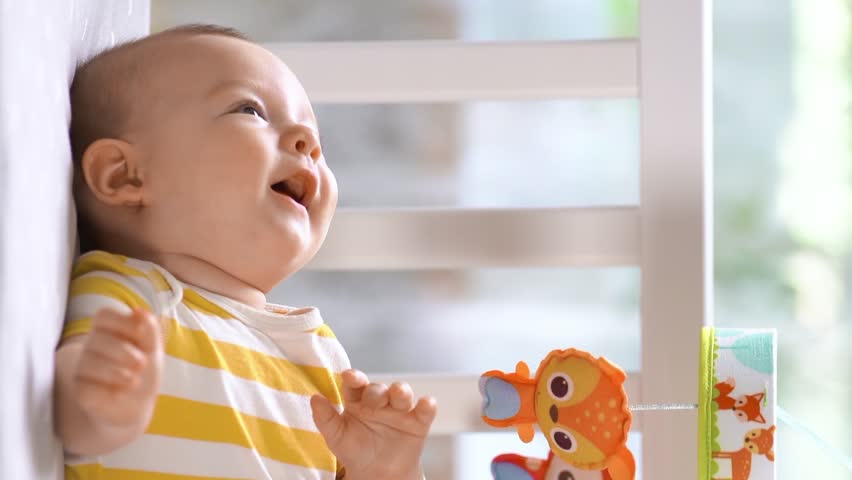 Shutterstock Video