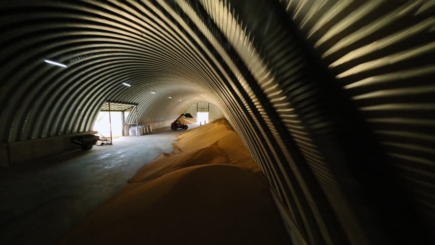 Farm workers gathering ripe barley crop inside warehouse while using heavy machinery. Heap of harvested grains laying along side of long storage barn at cereals manufacture.