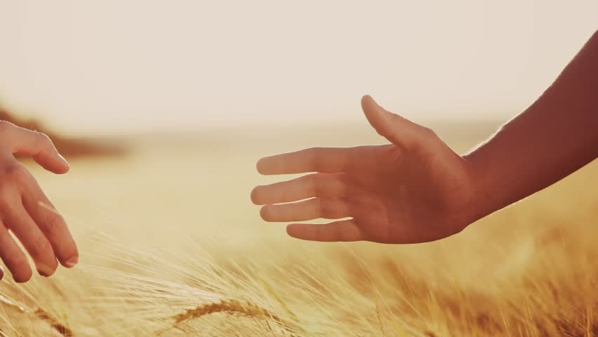 handshake contract farmers. agriculture business concept. two farmers shaking hands in yellow wheat field signing a contract agreement. agriculture handshake business lifestyle agreement close-up Royalty-Free Stock Footage #3476697733