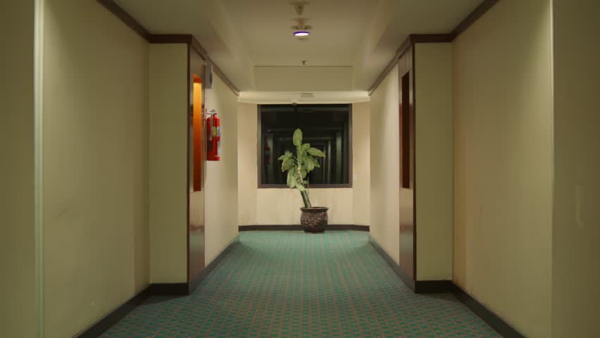 Empty hotel corridor with decorative plants and artwork, symmetrical perspective view inside the hotel