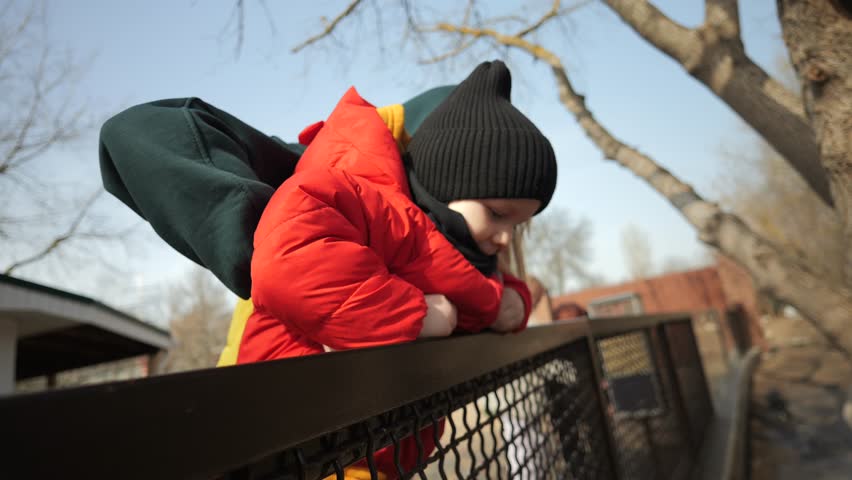 A small child in a red jacket walks in the zoo and looks through the fence. Feeding the animals