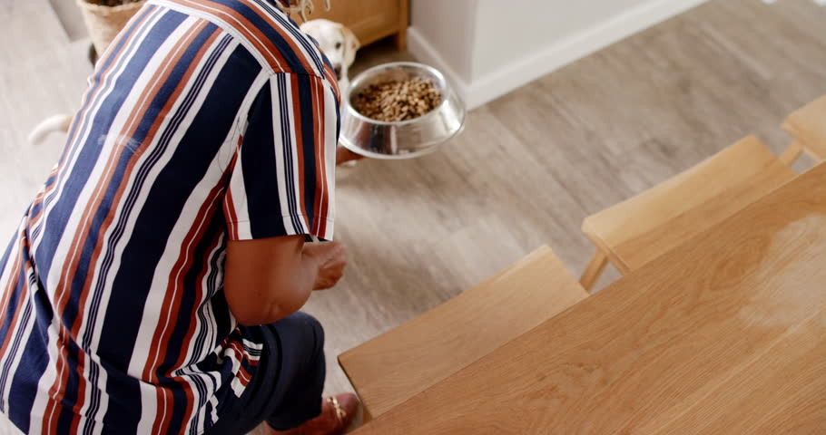 A senior African American woman with braided hair is feeding her dog. She wears striped shirt and has a gold bracelet on her wrist, unaltered, slow motion